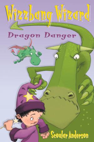 Cover of the book Dragon Danger / Grasshopper Glue (Wizzbang Wizard) by Walter Stewart