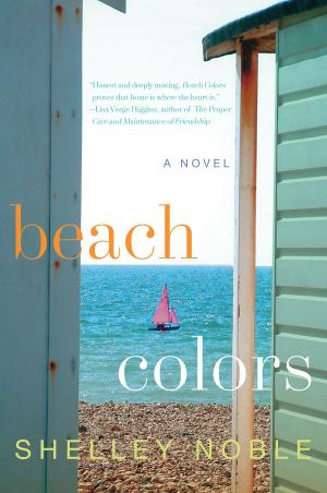 Cover of the book Beach Colors by Dr. Fredric Brandt