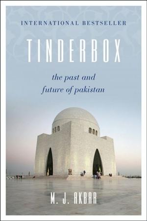 Cover of the book Tinderbox by Simon Winchester