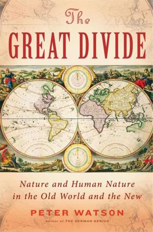 Cover of the book The Great Divide by Kevin Moffett