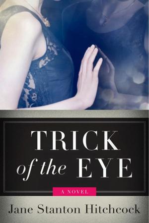 Cover of the book Trick of the Eye by Sadie Jones