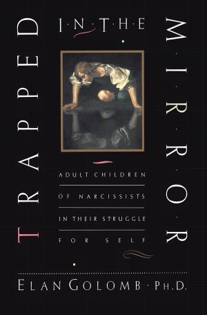 Cover of the book Trapped in the Mirror by Mandy Retzlaff