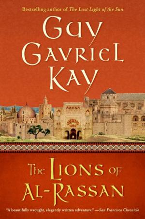 Cover of the book The Lions of Al-Rassan by Phillip Margolin