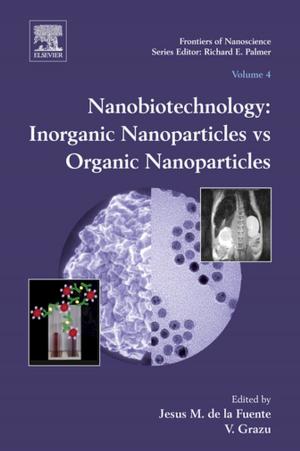 Cover of the book Nanobiotechnology by Patrick Engebretson