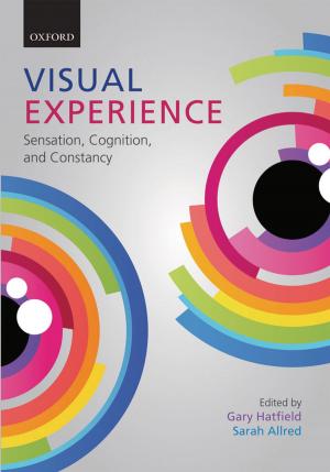 Cover of the book Visual Experience by Vaughan Lowe