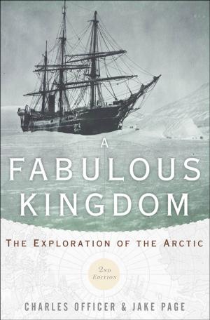 Cover of the book A Fabulous Kingdom by Steven Brint, Jerome Karabel