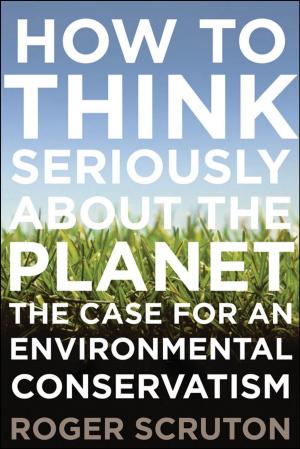 Cover of the book How to Think Seriously About the Planet by David Konstan