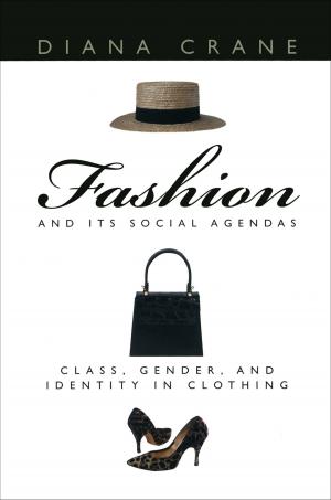 bigCover of the book Fashion and Its Social Agendas by 