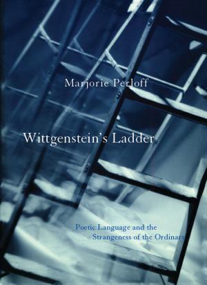 Book cover of Wittgenstein's Ladder