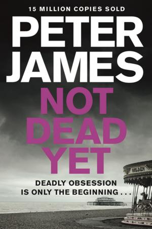 Cover of the book Not Dead Yet by Kate Clanchy