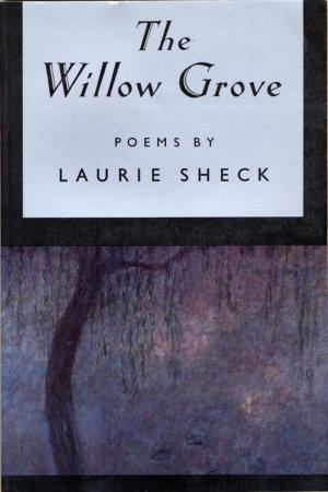 Cover of the book The Willow Grove by Anita Brookner
