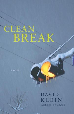 Cover of the book Clean Break by Bob Suggs