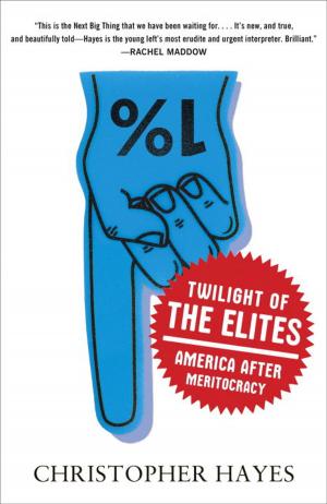 Book cover of Twilight of the Elites