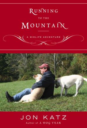 Cover of the book Running to the Mountain by Janet Callahan