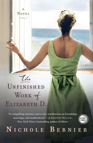 Cover of the book The Unfinished Work of Elizabeth D. by Kate Cassidy