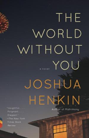 Cover of the book The World Without You by Joanna Kavenna