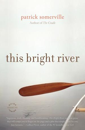 Cover of the book This Bright River by Jodi Kantor