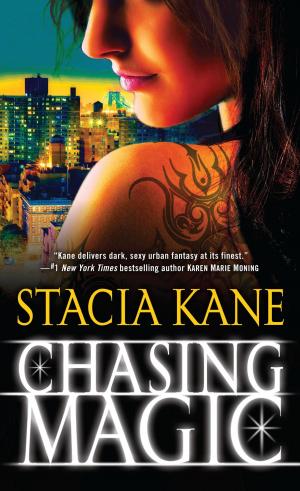 Cover of the book Chasing Magic by Kathryn Petras, Ross Petras