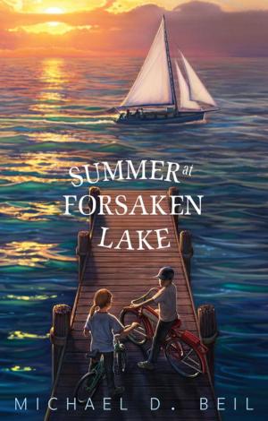 Book cover of Summer at Forsaken Lake