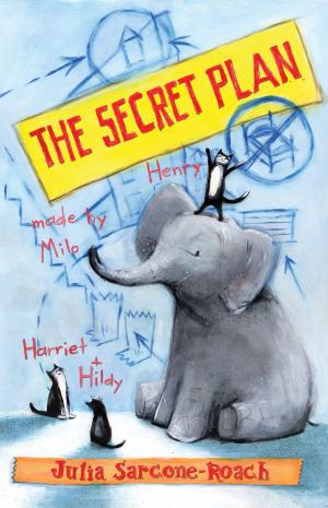 Cover of the book The Secret Plan by Leslie A. Kimmelman