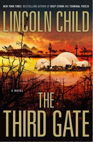Book cover of The Third Gate