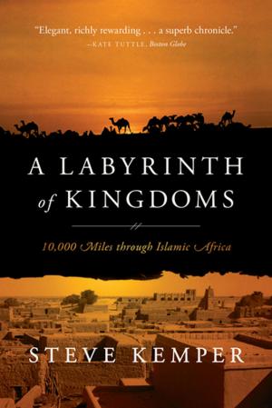 Cover of the book A Labyrinth of Kingdoms: 10,000 Miles through Islamic Africa by Anne Enright
