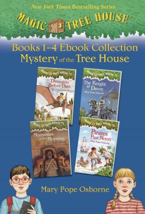 Cover of the book Mystery of the Tree House by Naomi Kleinberg