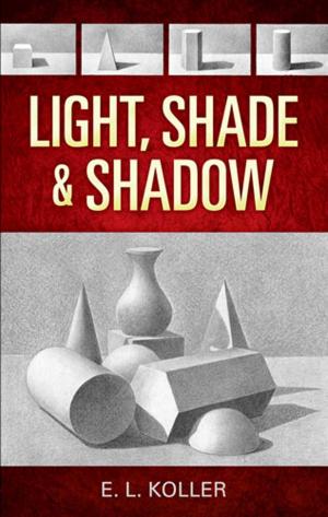 Cover of the book Light, Shade and Shadow by Paul Negri
