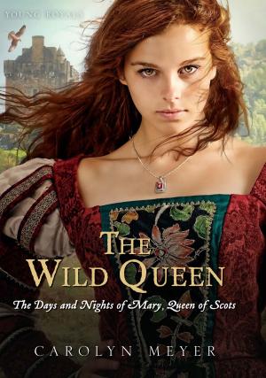 Cover of the book The Wild Queen by Mei Fong