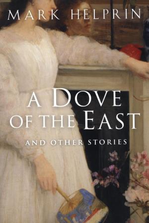 Cover of the book A Dove of the East by Amos Oz