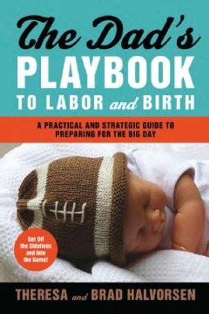 Book cover of Dad's Playbook to Labor & Birth