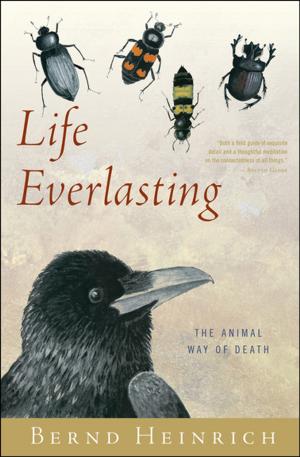 Cover of the book Life Everlasting by Charles Yu