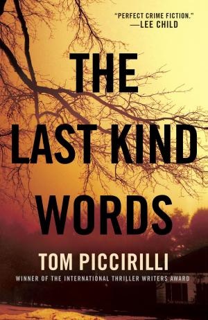 Cover of the book The Last Kind Words by Robert Newcomb