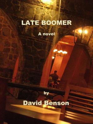 Book cover of Late Boomer