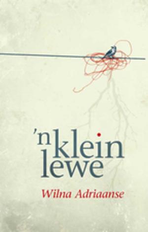 Cover of the book 'n Klein lewe by Wilna Adriaanse