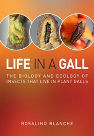 Cover of the book Life in a Gall by Steve Parish, Greg Richards, Les Hall