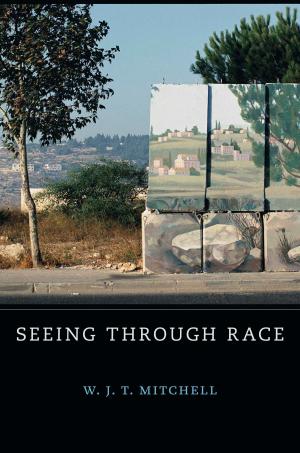 Cover of the book Seeing Through Race by J. P. Clark