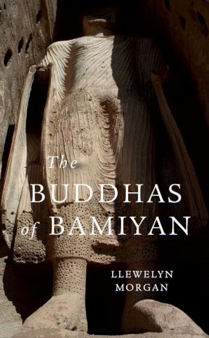 Cover of the book The Buddhas of Bamiyan by David M. Halperin