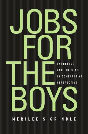 Cover of the book Jobs for the Boys by Sunil S. Amrith