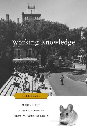 Cover of the book Working Knowledge by Llewelyn Morgan