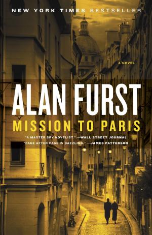 Cover of the book Mission to Paris by Sarah Bird