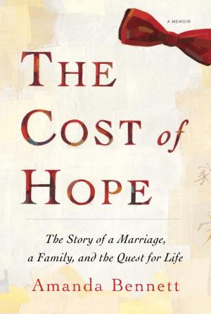 bigCover of the book The Cost of Hope by 