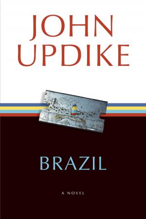 Cover of the book Brazil by Judith Krantz