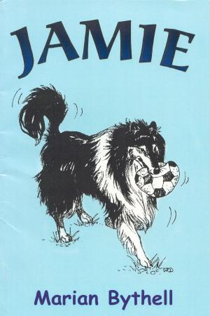 Cover of the book Jamie by John Smalldridge