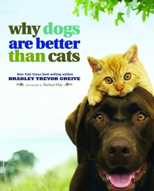 Book cover of Why Dogs Are Better Than Cats