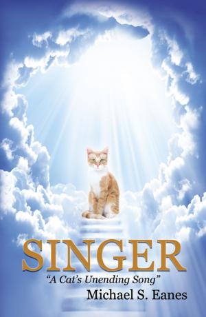 Cover of the book Singer: A Cats Unending Song by Paula G. Rubel