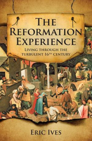 Book cover of The Reformation Experience