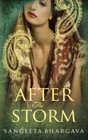 Cover of the book After the Storm by Julia Stoneham