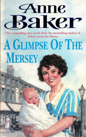 Cover of the book A Glimpse of the Mersey by Michael Jecks