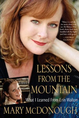 Cover of the book Lessons from the Mountain by Sara Rosett